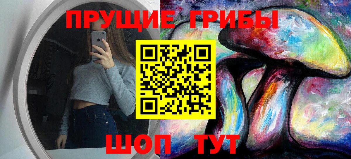 Галлюциногенные грибы прущие грибы Глазов